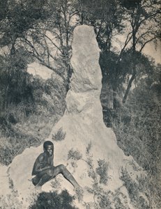واحدة من أكوام النمل العملاقة غريبة لبعض مناطق جنوب أفريقيا ، c1900. بواسطة غير معروف