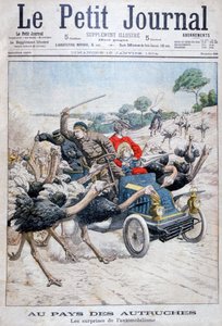 نعام يهاجم سيارة ، كاليفورنيا ، الولايات المتحدة الأمريكية ، 1904 بواسطة غير معروف