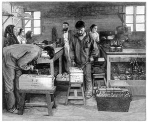 خراطيش التعبئة في صناديق في Isleten ، بالقرب من Fluelen ، سويسرا ، 1893 بواسطة غير معروف
