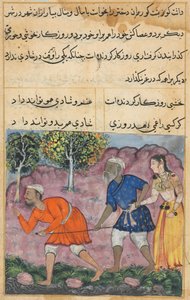 صفحة من حكايات الببغاء توتي ناما: الليلة الثانية والأربعون: ابنة راجاس ... ، ج. 1560. بواسطة غير معروف