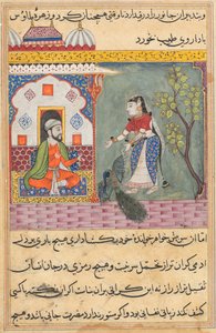 صفحة من حكايات الببغاء توتي ناما: الليلة التاسعة عشرة: زوجة البراهمان ... ، ج. 1560. بواسطة غير معروف