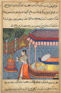 صفحة من حكايات الببغاء توتي ناما: الليلة السادسة والثلاثون: الببغاء يخاطب خوجاستا ... ، ج. 15 بواسطة غير معروف
