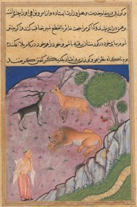 صفحة من حكايات ببغاء توتي ناما: الليلة الحادية والعشرون: البراهمي ... ، ج. 1560. بواسطة غير معروف