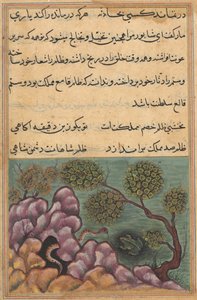 صفحة من حكايات ببغاء توتي ناما: الليلة السادسة والعشرون: الضفدع المخلوع ... ، ج. 1560. بواسطة غير معروف
