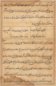 صفحة من حكايات ببغاء توتي ناما: صفحة نصية ، ج. 1560. بواسطة غير معروف