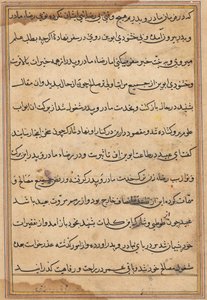 صفحة من حكايات ببغاء توتي ناما: صفحة نصية ، ج. 1560. بواسطة غير معروف