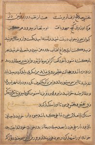 صفحة من حكايات ببغاء توتي ناما: صفحة نصية ، ج. 1560. بواسطة غير معروف