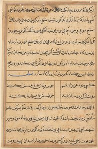 صفحة من حكايات ببغاء توتي ناما: صفحة نصية ، ج. 1560. بواسطة غير معروف