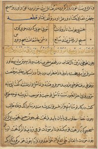 صفحة من حكايات ببغاء توتي ناما: صفحة نصية ، ج. 1560. بواسطة غير معروف