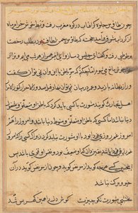 صفحة من حكايات ببغاء توتي ناما: صفحة نصية ، ج. 1560. بواسطة غير معروف