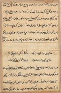 صفحة من حكايات ببغاء توتي ناما: صفحة نصية ، ج. 1560. بواسطة غير معروف