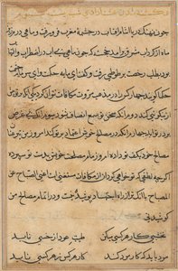 صفحة من حكايات ببغاء توتي ناما: صفحة نصية ، ج. 1560. بواسطة غير معروف