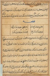 صفحة من حكايات ببغاء توتي ناما: صفحة نصية ، ج. 1560. بواسطة غير معروف
