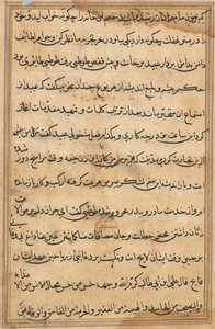 صفحة من حكايات ببغاء توتي ناما: صفحة نصية ، ج. 1560. بواسطة غير معروف
