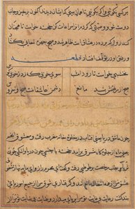 صفحة من حكايات ببغاء توتي ناما: صفحة نصية ، ج. 1560. بواسطة غير معروف