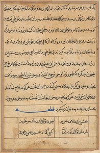 صفحة من حكايات ببغاء توتي ناما: صفحة نصية ، ج. 1560. بواسطة غير معروف