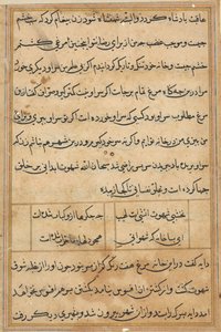 صفحة من حكايات ببغاء توتي ناما: صفحة نصية ، ج. 1560. بواسطة غير معروف
