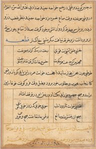 صفحة من حكايات ببغاء توتي ناما: صفحة نصية ، ج. 1560. بواسطة غير معروف