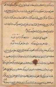 صفحة من حكايات ببغاء توتي ناما: صفحة نصية ، ج. 1560. بواسطة غير معروف