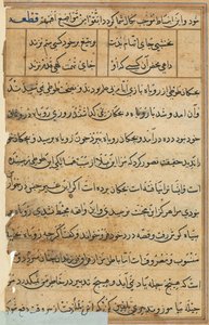 صفحة من حكايات ببغاء توتي ناما: صفحة نصية ، ج. 1560. بواسطة غير معروف