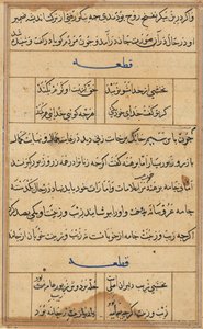صفحة من حكايات ببغاء توتي ناما: صفحة نصية ، ج. 1560. بواسطة غير معروف
