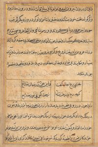 صفحة من حكايات ببغاء توتي ناما: صفحة نصية ، ج. 1560. بواسطة غير معروف