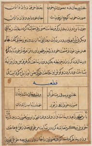 صفحة من حكايات ببغاء توتي ناما: صفحة نصية ، ج. 1560. بواسطة غير معروف
