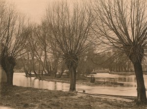 بانجبورن وير ، 1902 بواسطة غير معروف