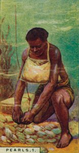 اللؤلؤ 1. الغواص الأصلي في العمل ، سيلان ، 1928 بواسطة غير معروف