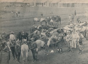 حصان بلومرز ، c1900. بواسطة غير معروف