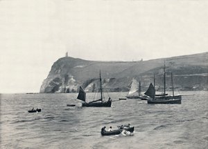 بورت إيرين - رأس براددا ، مع برج ميلنر ، 1895 بواسطة غير معروف