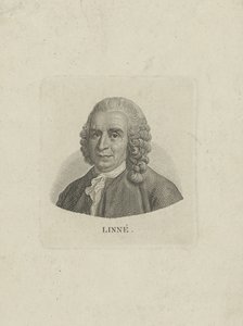 صورة لكارل لينيوس 1707-1778 ، ج. 1780. بواسطة غير معروف