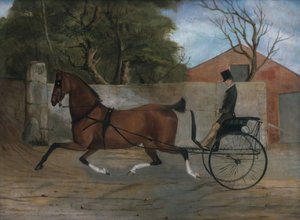 صورة لرجل نبيل في عربة ، كاليفورنيا. 1850-60.