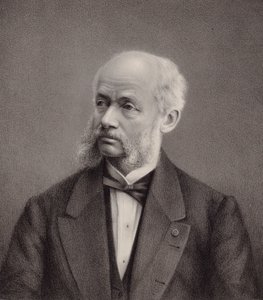 صورة لعازف الكمان والملحن هنري فيوكستيمبس 1820-1881 ، 1895. بواسطة غير معروف