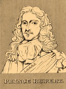 الأمير روبرت ، 1619-1682 ، 1830. بواسطة غير معروف