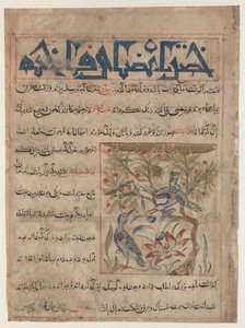 صفات Ringdoves المستقيم ، على فوائد السمان مقابل ... ، ج. 1300. بواسطة غير معروف