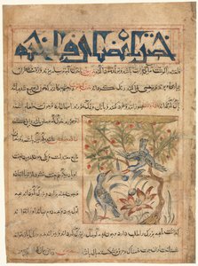 صفات الخواتم من المنافي الحيوان على فائدة الحيوانات ، ج. 1300. بواسطة غير معروف