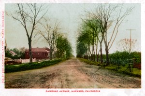 شارع السكك الحديدية ، هايوارد ، كاليفورنيا ، 1905 بواسطة غير معروف