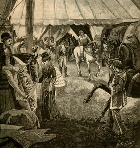 جاهز ليتم استدعاؤه في الحلبة ، 1882. بواسطة غير معروف
