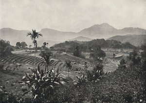 مجال السفر في مرسى Terrasen ، 1926 بواسطة غير معروف