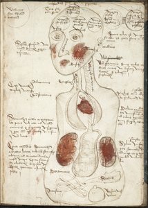 تمثيل نظرية الوعي الأرسطية من: De corpore et anima بواسطة غير معروف