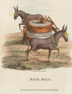 مطحنة الأرز ، 1813 بواسطة غير معروف