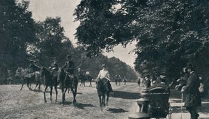 ^ Rotten Row ، Hyde Park ، c1900 بواسطة غير معروف