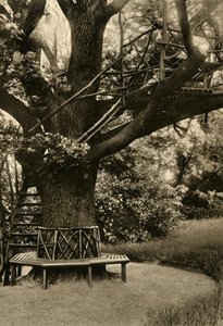 علاج ريفي. - بيت صيفي في شجرة ، بيت شاي مثالي ، 1920. بواسطة غير معروف