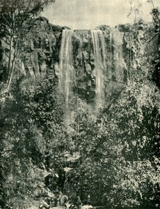Sailors Creek Falls ، Daylesford ، 1901. بواسطة غير معروف