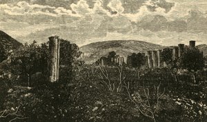 السامرة ، 1890. بواسطة غير معروف