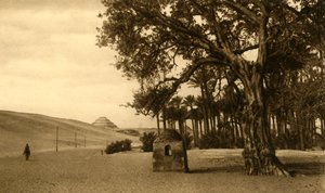 سقارة - الهرم المدرج من سيكومور ، c1918-c1939. بواسطة غير معروف