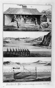 الصيد البحري ، الرنجة والسردين ، 1751-1777 بواسطة غير معروف