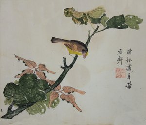 Seeds and Aleurites Cordata: صفحة من دليل حديقة بذور الخردل لعام ... ، 1782 ، الطبعة الثانية. بواسطة غير معروف