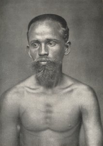 عامل من السنهالية من هولندا ، 1926 بواسطة غير معروف